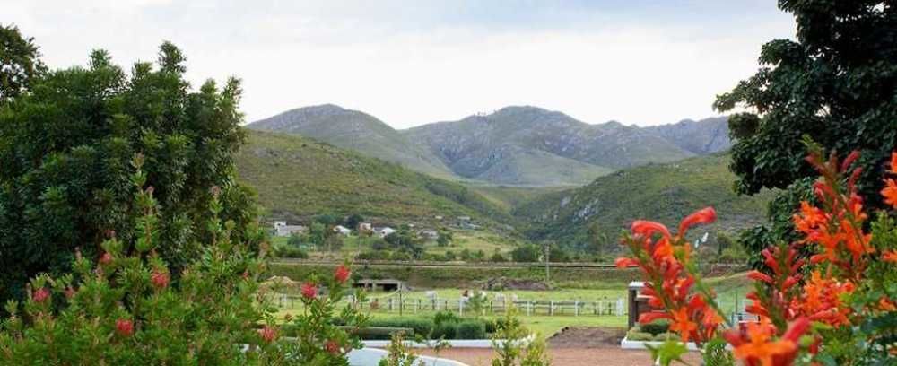 Assegaaibosch Country Lodge Kareedouw Exterior photo